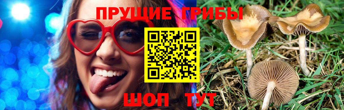 Свободный  Псилоцибиновые грибы Psilocybe  Галлюциногенные грибы мухоморы  Вход с VPN 