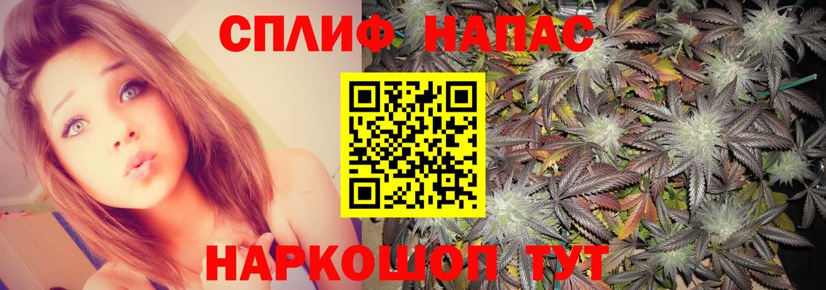 Марихуана White Widow  МАРИХУАНА Amnesia  Бошки Шишки SATIVA & INDICA  Марихуана планчик  Свободный  Вход с VPN 